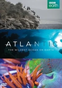 Атлантика. Самый необузданный океан на Земле / Atlantic. The Wildest Ocean on Earth (1 серия из 3) | AlexFilm